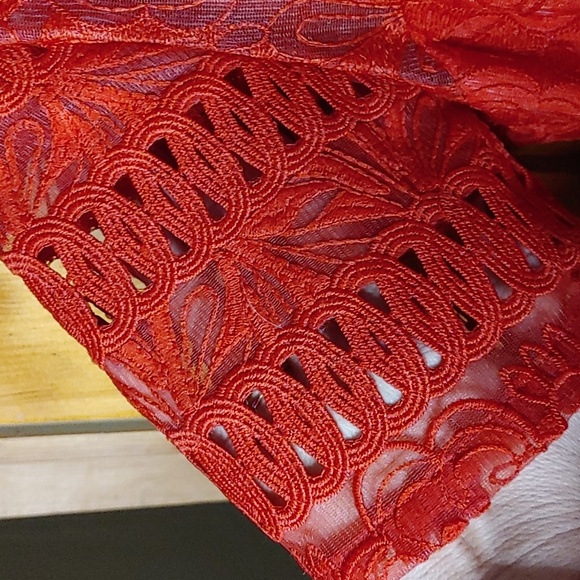 CHI CHI's LONDON* Red Lavinia Tea length dress crinoline satin lining sz UK 12 - Picture 6 of 17